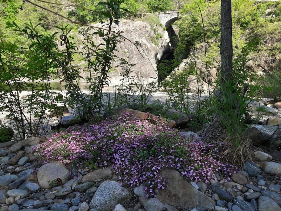 Appartamento La Meridiana A Traffiume Cannobio Bagian luar foto
